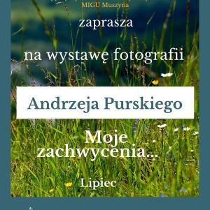 plakat23